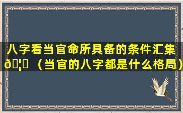 八字看当官命所具备的条件汇集 🦅 （当官的八字都是什么格局）